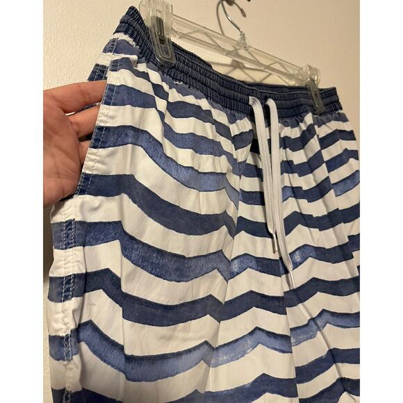 Chubbies Swim Trunks Mens Large Blue White Striped Lined Shorts Bathing Suit - Picture 2 of 12